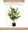 2pcs 38" Artificial Camellia Tree Flower Plant in Yellow Cement